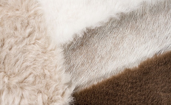 Détail d'un tapis en peau de vache chinée et mouton blanc, beige et caramel.